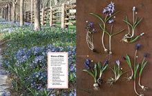 Load image into Gallery viewer, Martha Stewart&#39;s Gardening Handbook |  Martha Stewart