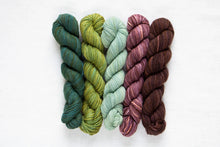 Load image into Gallery viewer, Fino Mini-Skein Kit | Manos Del Uruguay