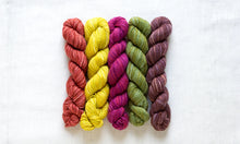 Load image into Gallery viewer, Fino Mini-Skein Kit | Manos Del Uruguay