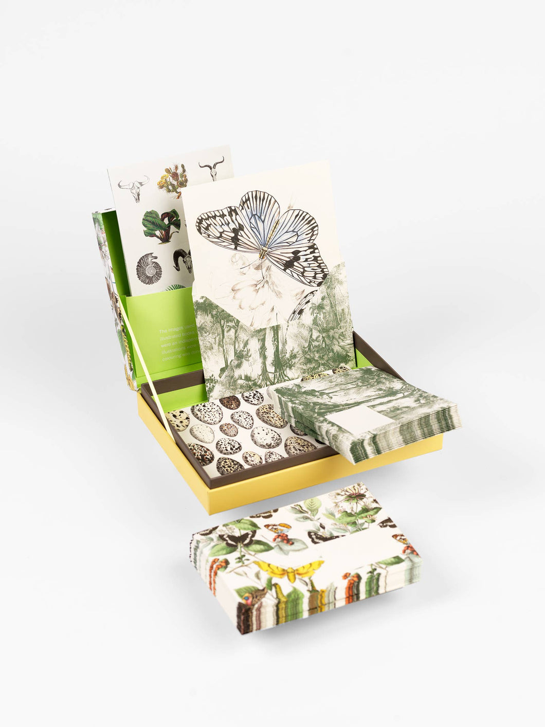 Natural History Letter Writing Set | Pepin Press