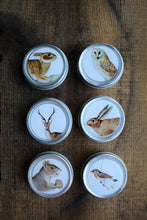 Load image into Gallery viewer, Forest Friends Mini Tins | NNK Press