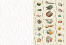 Load image into Gallery viewer, Collage Compendium | Roomytown