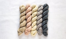 Load image into Gallery viewer, Fino Mini-Skein Kit | Manos Del Uruguay