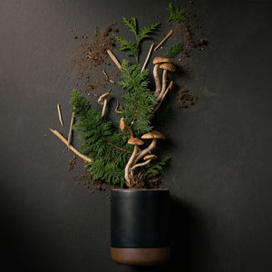 The Candle in Forage Moon | East Fork Pottery