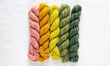 Load image into Gallery viewer, Fino Mini-Skein Kit | Manos Del Uruguay