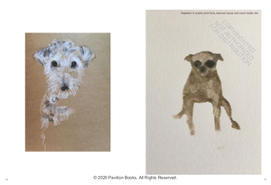 Old Dogs | Sally Muir
