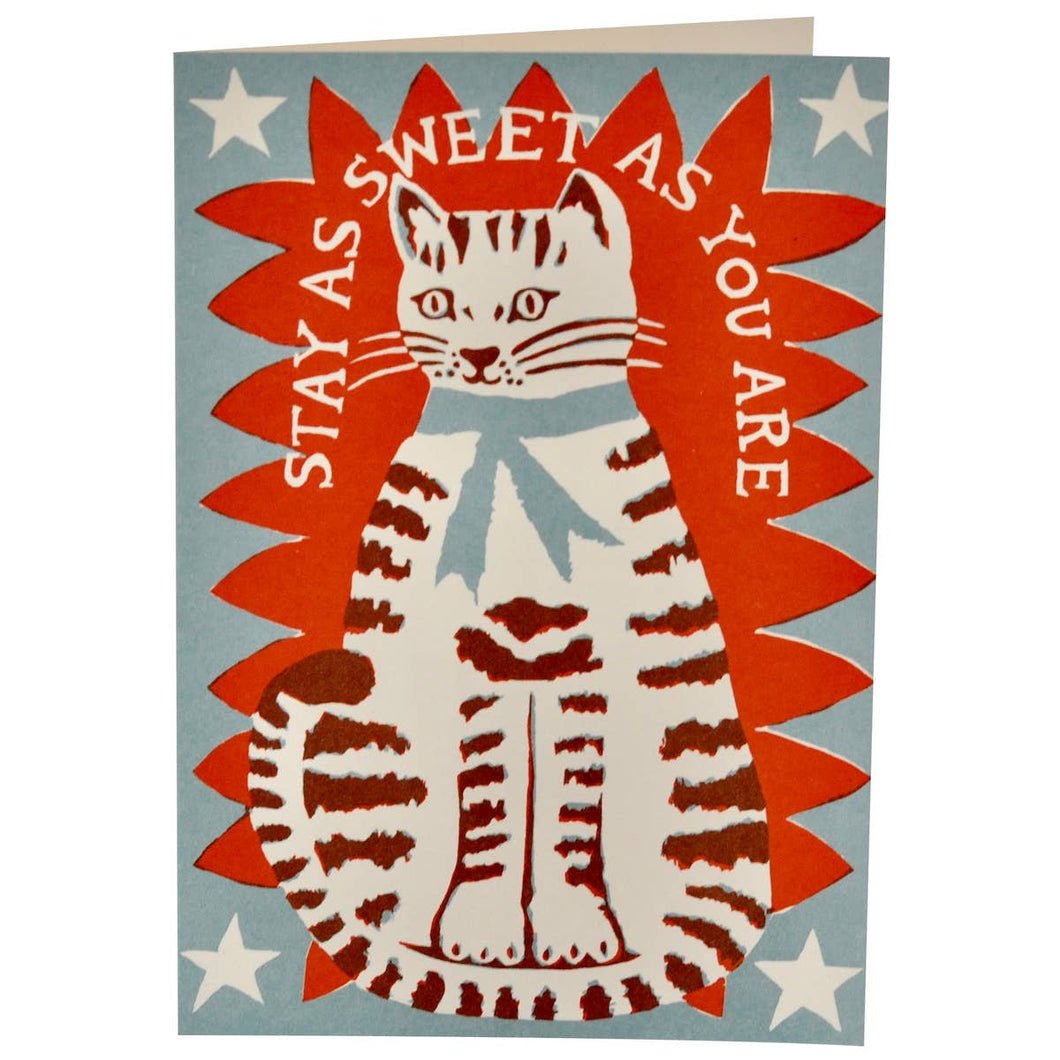 Cambridge Imprint | Very Large Card Sweet Cat