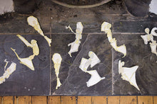 Load image into Gallery viewer, Dancing Skeletons Sewn Garland | East End Press