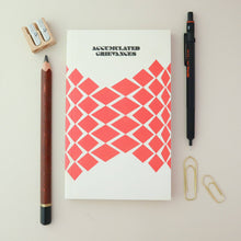 Load image into Gallery viewer, Paperback Writers: Accumulated Grievances | Goods for the Study