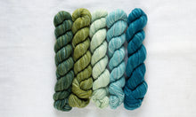 Load image into Gallery viewer, Fino Mini-Skein Kit | Manos Del Uruguay