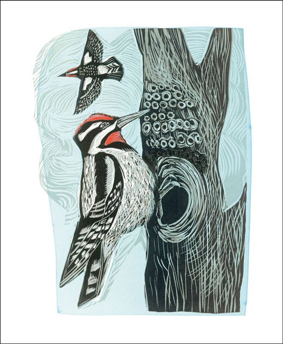 Art Angels | Lesser Spotted Woodpecker Card by Angela Harding
