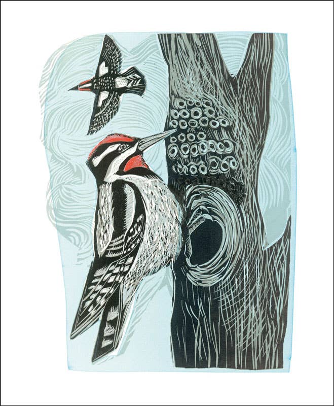 Art Angels | Lesser Spotted Woodpecker Card by Angela Harding