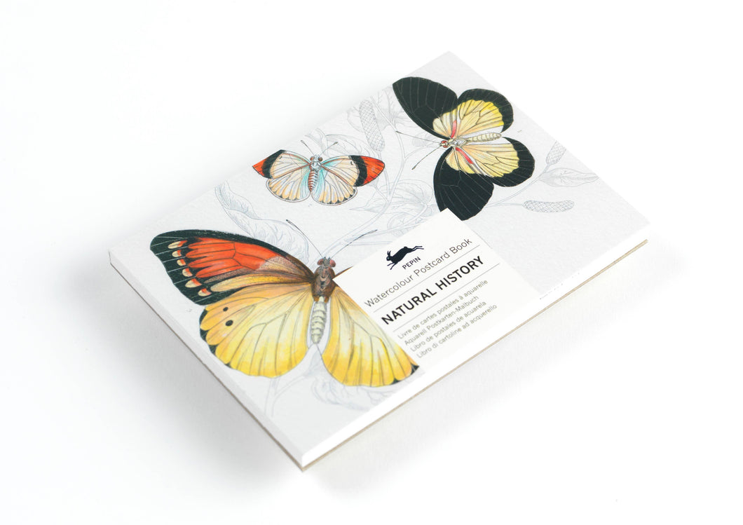 Natural History Watercolour Postcard Book | Pepin Press