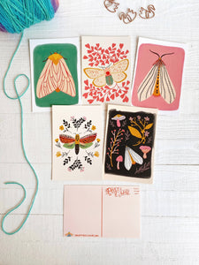 Moth Postcard Pack | Dream Folk Studio