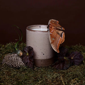 The Candle in Odd Woods | East Fork Pottery