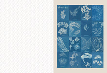 Load image into Gallery viewer, Collage Compendium | Roomytown