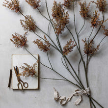 Load image into Gallery viewer, Artificial Hedge Parsley | Abigail Ahern