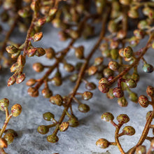 Load image into Gallery viewer, Artificial Hedge Parsley | Abigail Ahern