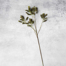 Load image into Gallery viewer, Artificial Mottled Sedge | Abigail Ahern
