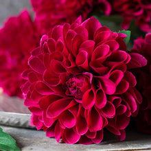 Load image into Gallery viewer, Artificial Real Touch Dahlia | Abigail Ahern