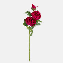 Load image into Gallery viewer, Artificial Real Touch Peony | Abigail Ahern