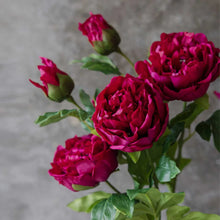 Load image into Gallery viewer, Artificial Real Touch Peony | Abigail Ahern