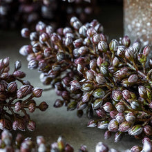 Load image into Gallery viewer, Artificial Sorghum Stem | Abigail Ahern