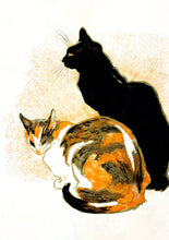 Load image into Gallery viewer, Black Cats Boxed Notecard Assortment | Pomegranate