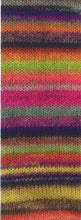 Load image into Gallery viewer, Colorissimo | Lana Grossa
