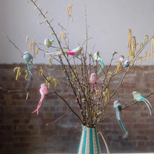 Load image into Gallery viewer, Assorted Feather Bird Clip on Decorations | Petra Boase