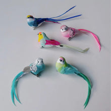 Load image into Gallery viewer, Assorted Feather Bird Clip on Decorations | Petra Boase