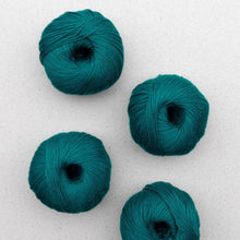 Load image into Gallery viewer, Cumbria Yarn | Pascuali