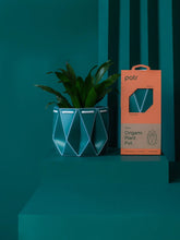 Load image into Gallery viewer, Self-Watering POTR | POTR