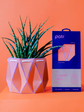 Load image into Gallery viewer, Self-Watering POTR | POTR
