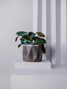 Self-Watering POTR | POTR