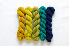 Load image into Gallery viewer, Fino Mini-Skein Kit | Manos Del Uruguay