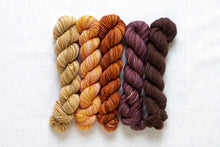 Load image into Gallery viewer, Fino Mini-Skein Kit | Manos Del Uruguay