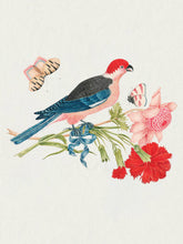 Load image into Gallery viewer, Flowers, Birds &amp; Butterflies Celebrations Boxed Notecards | Pomegranate