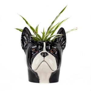 Pencil Pots | Quail Ceramics Ltd.