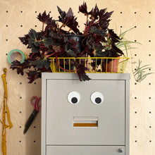 Load image into Gallery viewer, Googly Eye Magnets | Petra Boase