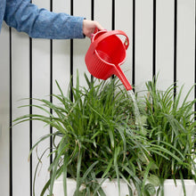 Load image into Gallery viewer, Hachiman Garden Beetle Watering Cans | Chilewich