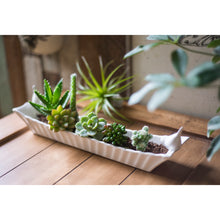 Load image into Gallery viewer, Ceramic Cracker Dish with 2 Birds | Creative Co-op
