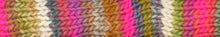 Load image into Gallery viewer, Young &amp; Trendy Stripes | Laines du Nord