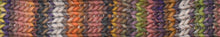 Load image into Gallery viewer, Young &amp; Trendy Stripes | Laines du Nord