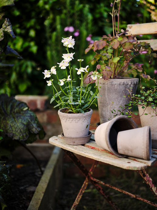 Kobenhavner Rosa #10/ Set of 3 | Bergs Potter