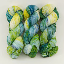 Load image into Gallery viewer, Little Nettle Soft Fingering | Ancient Arts Yarns