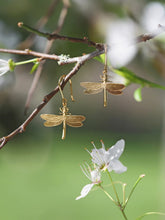 Load image into Gallery viewer, Dragonfly Hook Earrings | Alex Monroe
