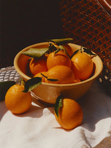 Ruby Valencia & Apricot Fruit Spread | Marmalade Grove