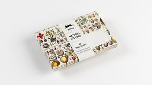 A5 Notepad & Matching Envelopes| The Pepin Press