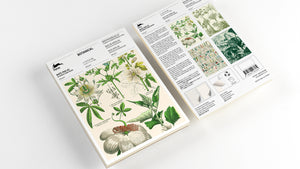 A5 Notepad & Matching Envelopes| The Pepin Press